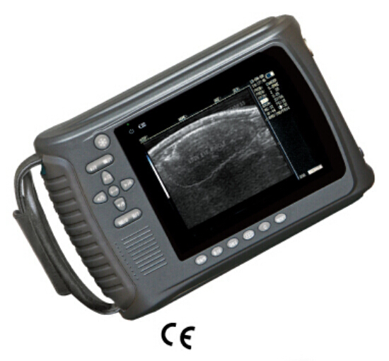 V3 Plus ȫ��(sh��)������ʽ�F��B��